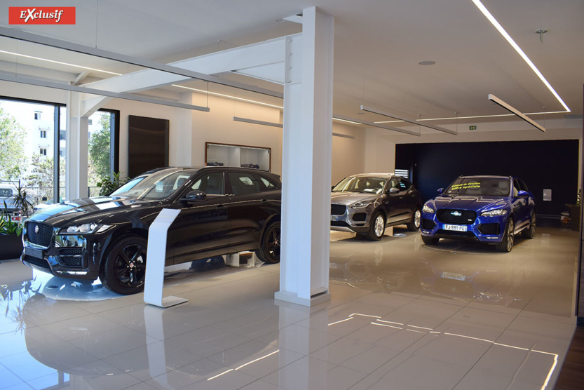 Showroom Jaguar