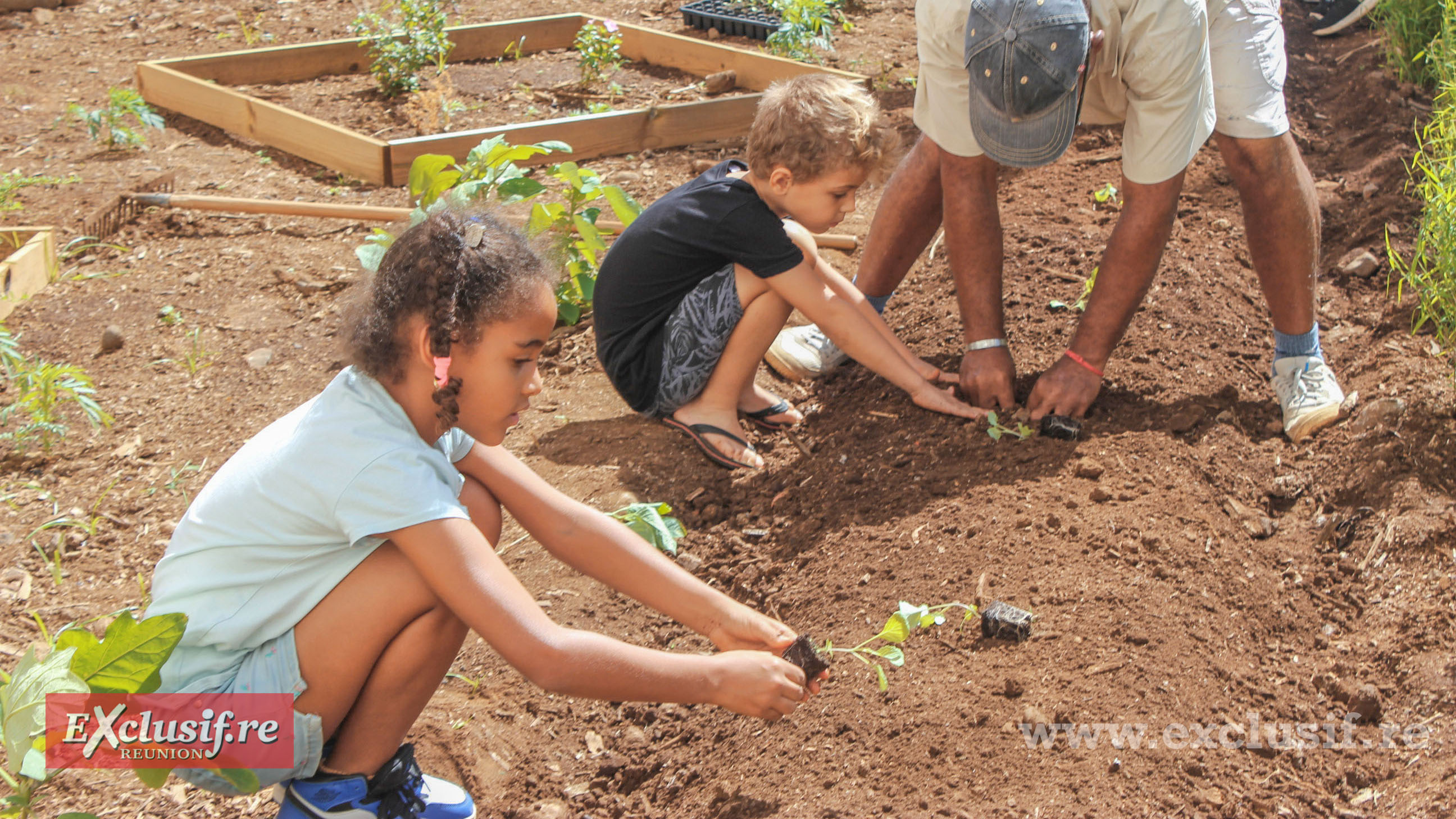 Les jardins solidaires et pédagogiques ont ainsi été les premiers éléments symbolisant le changement