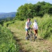 IMG_0617 IMG_0617