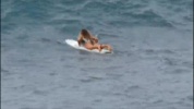 ALIGNE LEMOIGNE VAGUES.mp4