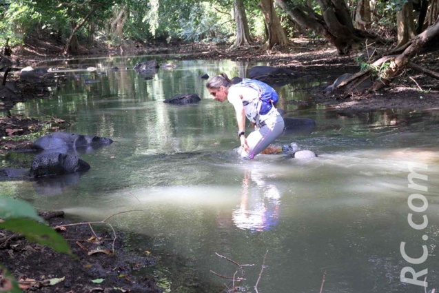 Dodo Trail est bel et bien relancé... Dodo Trail est bel et bien relancé...