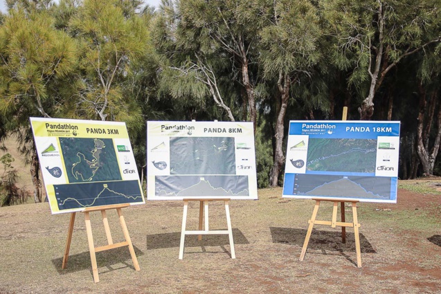 Trois parcours au choix Trois parcours au choix
