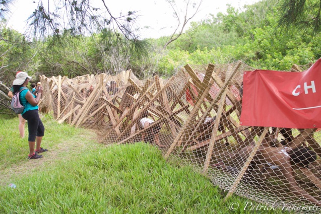 Tropica'Dingue 2017: quand les "fous" s'amusent... Tropica'Dingue 2017: quand les "fous" s'amusent...