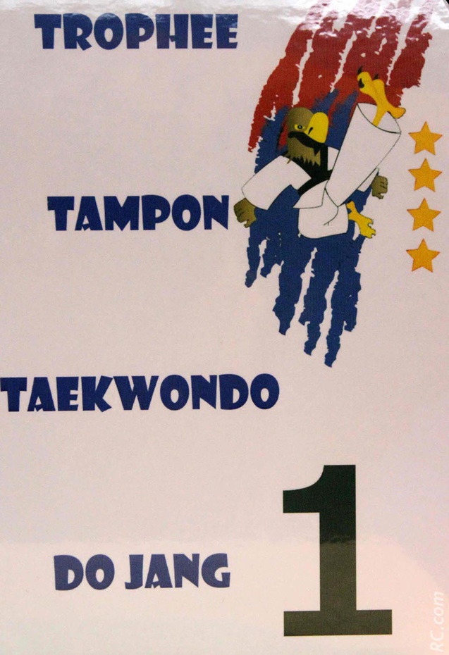 Taekwondo : Succès du Trophée Dojang