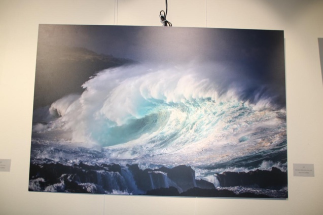 Expo: "La Réunion-Sur-Mer" à la Galerie Artefact