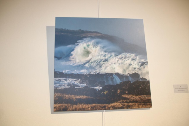 Expo: "La Réunion-Sur-Mer" à la Galerie Artefact