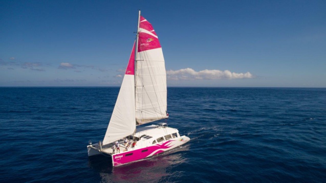 Un catamaran qui se fait remarquer par ses dimensions...