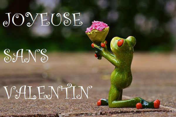 Bonne Saint Valentin aux amoureux!! Et pour celles et ceux qui sont "sans", le meilleur est à venir...