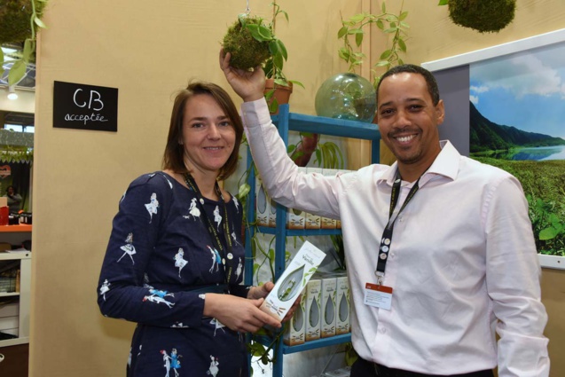 Garden Island: cultiver la vanille chez soi ? Pourquoi pas ! Willy Suzanne et Camille Séraphin incitent à élever un plan de vanille in vitro Garden Island: cultiver la vanille chez soi ? Pourquoi pas ! Willy Suzanne et Camille Séraphin incitent à élever un plan de vanille in vitro