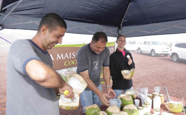 Dégustation d’eau et de noix de coco à votre arrivée, par la Maison du Coco