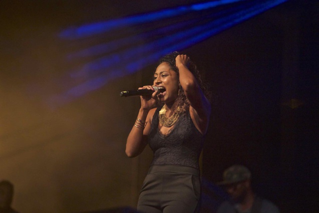 Festival Terre de Reggae à Saint-Paul: les photos