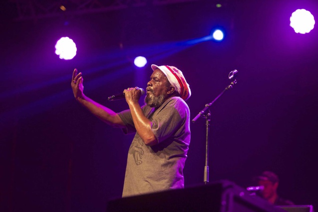 Festival Terre de Reggae à Saint-Paul: les photos