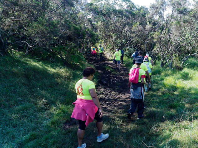 A la découverte des hauts de la Plaine des Cafres A la découverte des hauts de la Plaine des Cafres