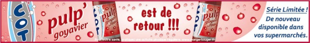 Sakifo 2018: Craquant comme le Petit Biscuit...