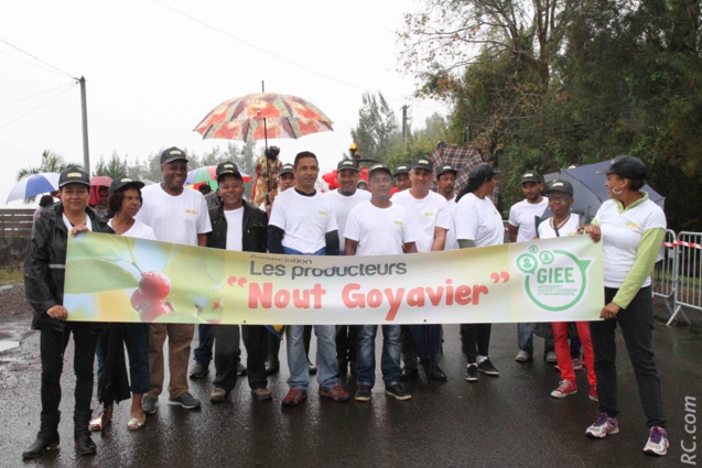 L'association Les Producteurs Nout Goyavier