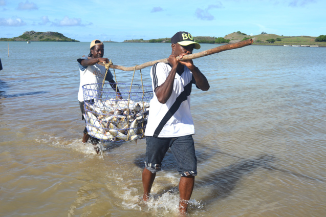 Tout le charme et l'authenticité de la pêche à senne Tout le charme et l'authenticité de la pêche à senne