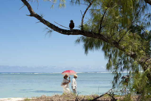 Sur  l'île aux Cocos, le temps d'une parfaite évasion