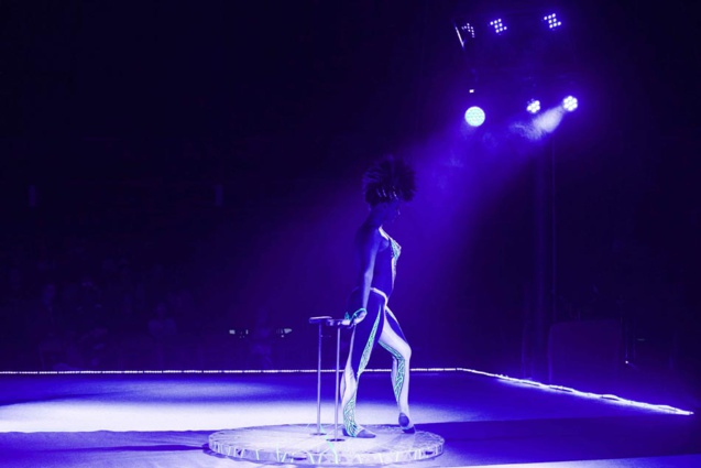 Le Cirque Raluy à La Réunion: images