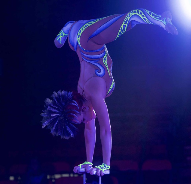 Le Cirque Raluy à La Réunion: images