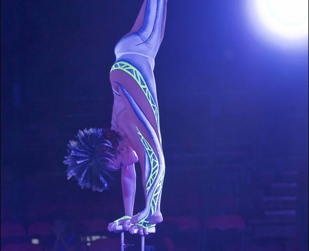 Le Cirque Raluy à La Réunion: images