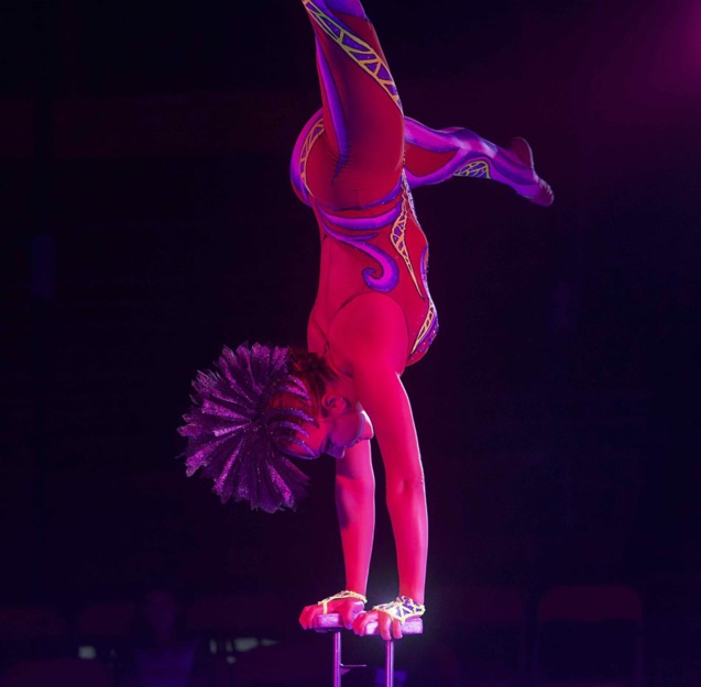 Le Cirque Raluy à La Réunion: images