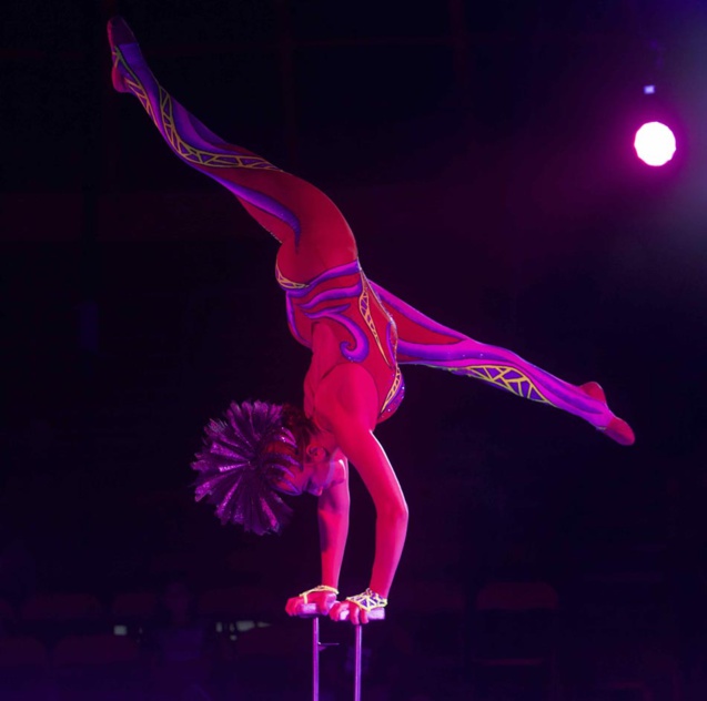 Le Cirque Raluy à La Réunion: images