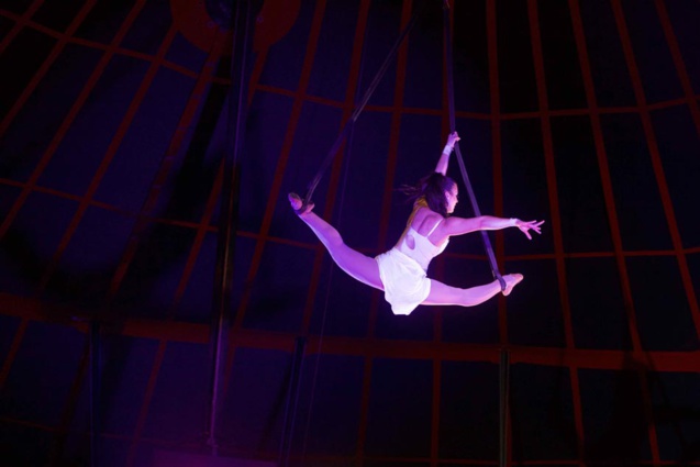 Le Cirque Raluy à La Réunion: images