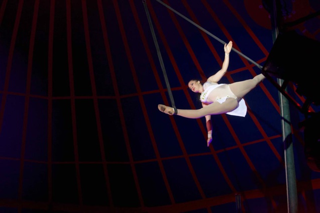 Le Cirque Raluy à La Réunion: images