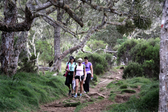 La Réunion, paradis des randonneurs. En parallèle, il est à noter que les gîtes de randonnée du GR peuvent être réservées sur explorelareunion.com