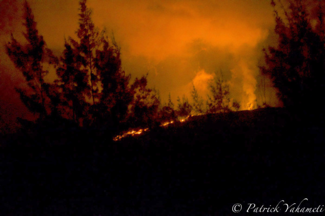 La Fournaise février 2019: photos La Fournaise février 2019: photos
