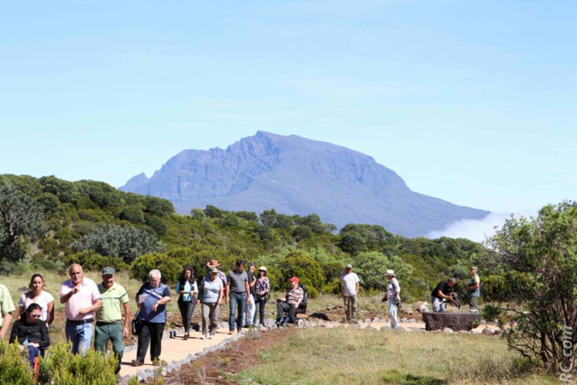 En arrière-plan le Piton des Neiges En arrière-plan le Piton des Neiges