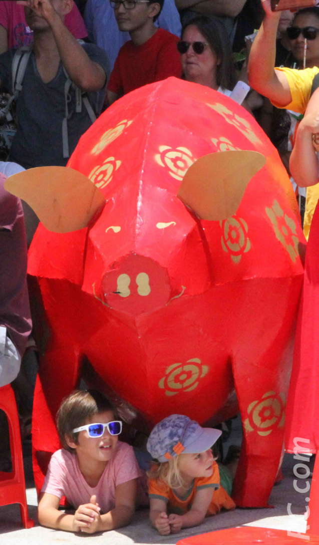 Sous la protection du Cochon