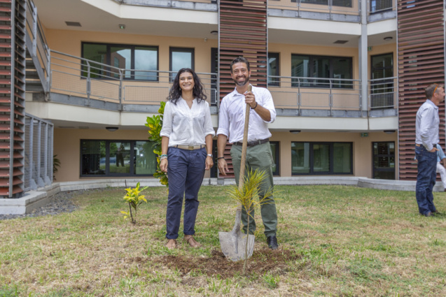 Travail terminé avec le sourire... Travail terminé avec le sourire...