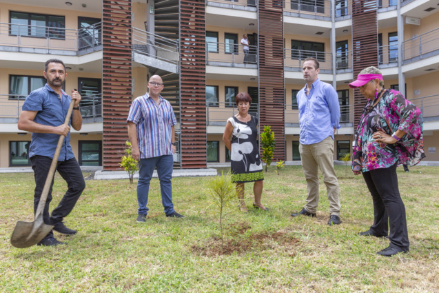 Lancement du GESER: une première à La Réunion ! Lancement du GESER: une première à La Réunion !
