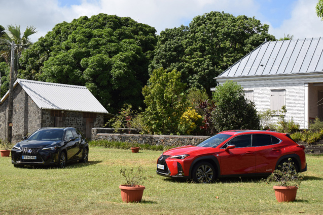 L'UX 250h est disponible en 13 coloris L'UX 250h est disponible en 13 coloris