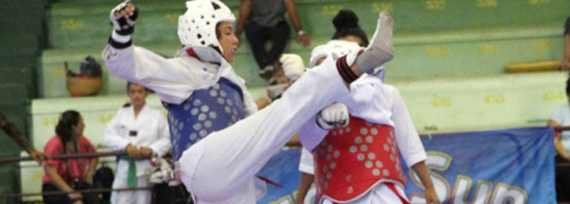 Taekwondo: journée marathon pour clôturer la saison...