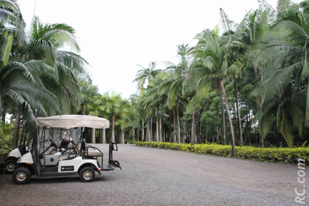Des mini « mokes »pour des petits déplacements sont à disposition Des mini « mokes »pour des petits déplacements sont à disposition