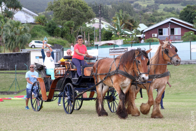 Les trophées et les médailles sont arrivées en calèche Les trophées et les médailles sont arrivées en calèche