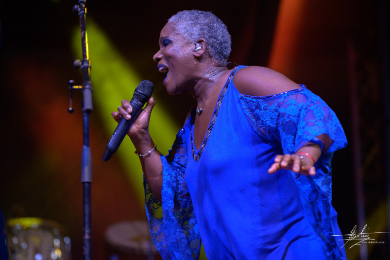 Kassav en concert à Expobat: succès fou!