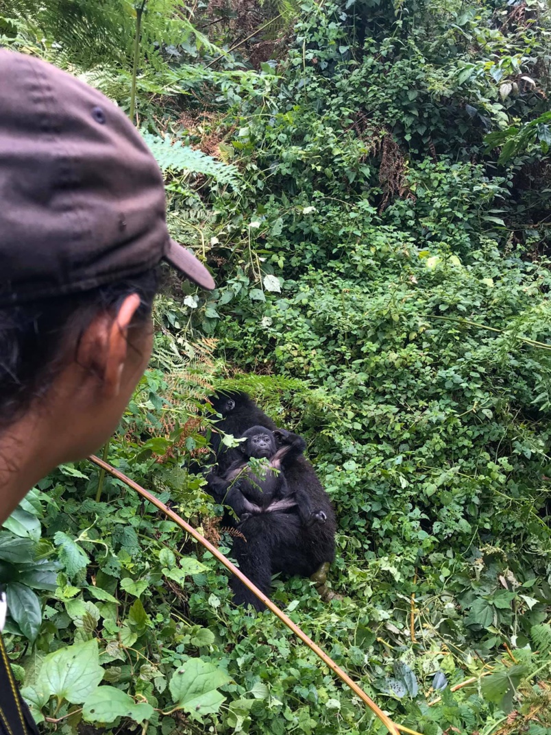 Afrique au cœur: Elodie, Réunionnaise, parcourt le continent depuis 10 mois… Afrique au cœur: Elodie, Réunionnaise, parcourt le continent depuis 10 mois…