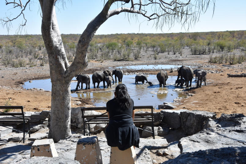 Afrique au cœur: Elodie, Réunionnaise, parcourt le continent depuis 10 mois… Afrique au cœur: Elodie, Réunionnaise, parcourt le continent depuis 10 mois…