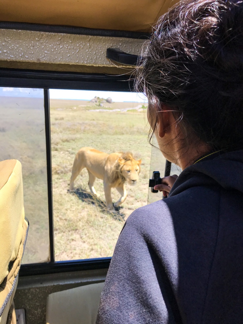 Afrique au cœur: Elodie, Réunionnaise, parcourt le continent depuis 10 mois… Afrique au cœur: Elodie, Réunionnaise, parcourt le continent depuis 10 mois…