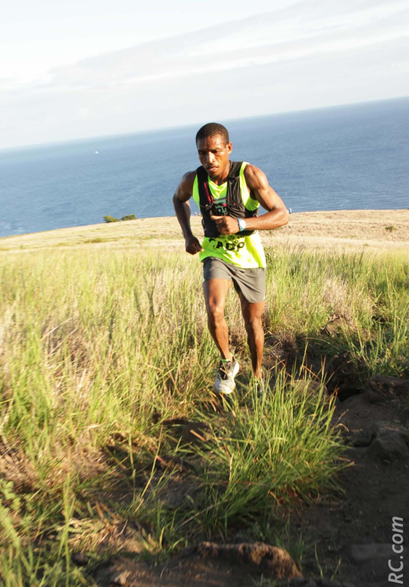 Le retour de Safaoui Le retour de Safaoui