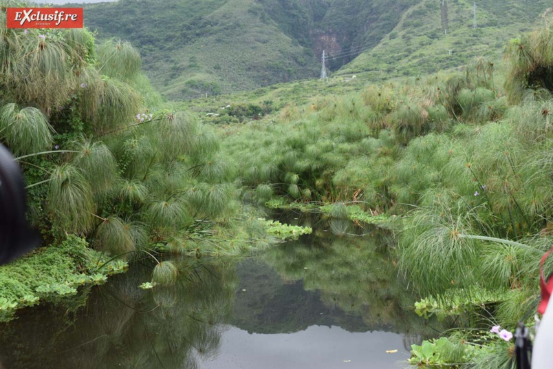 Un havre de paix... Un havre de paix...