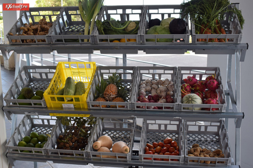 "Régal Express", une épicerie de proximité à la Colline des Camélias Saint-Denis "Régal Express", une épicerie de proximité à la Colline des Camélias Saint-Denis