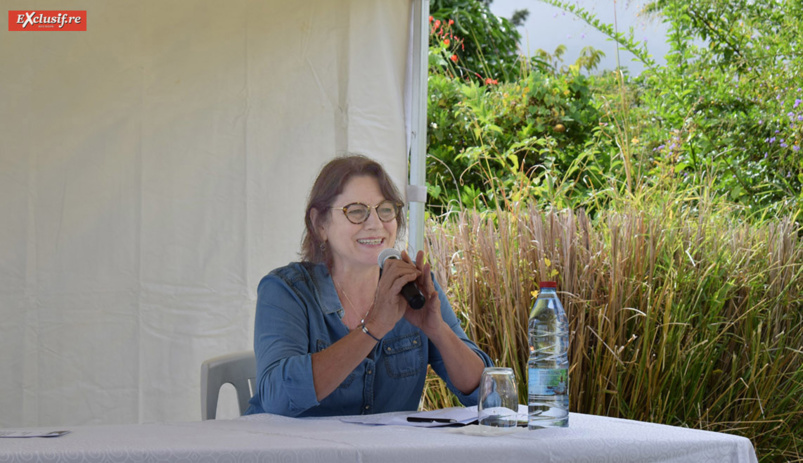 Yolaine Costes, vice-présidente de la Région, a annoncé l'arrivée de deux avions avec des masques et des produits sanitaires