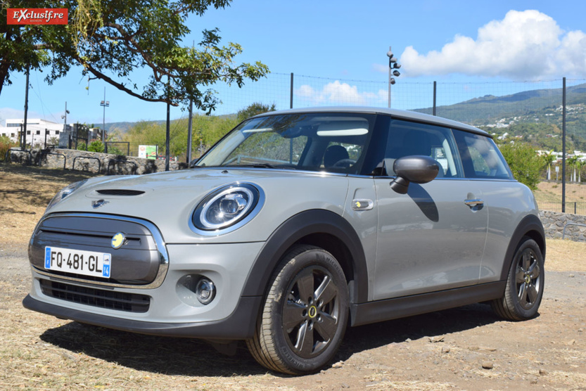 Prête à bondir sans bruit... Prête à bondir sans bruit...