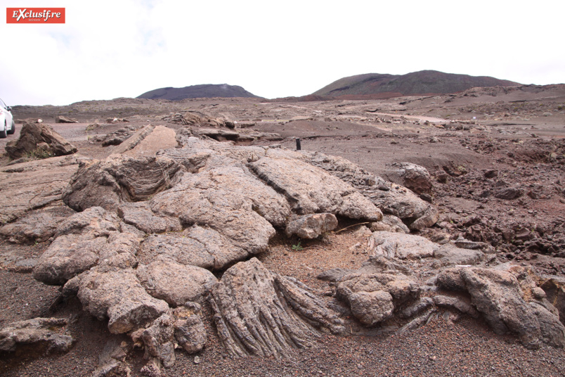 La Plaine des Sables qu’il a parcouru en long et en large... Il connaissait les lieux comme sa poche! La Plaine des Sables qu’il a parcouru en long et en large... Il connaissait les lieux comme sa poche!