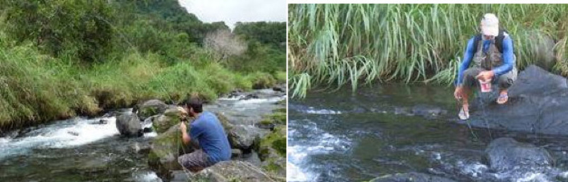 Objectif: sensibiliser les jeunes à la connaissance des espèces aquatiques qui peuplent les eaux douces de La Réunion