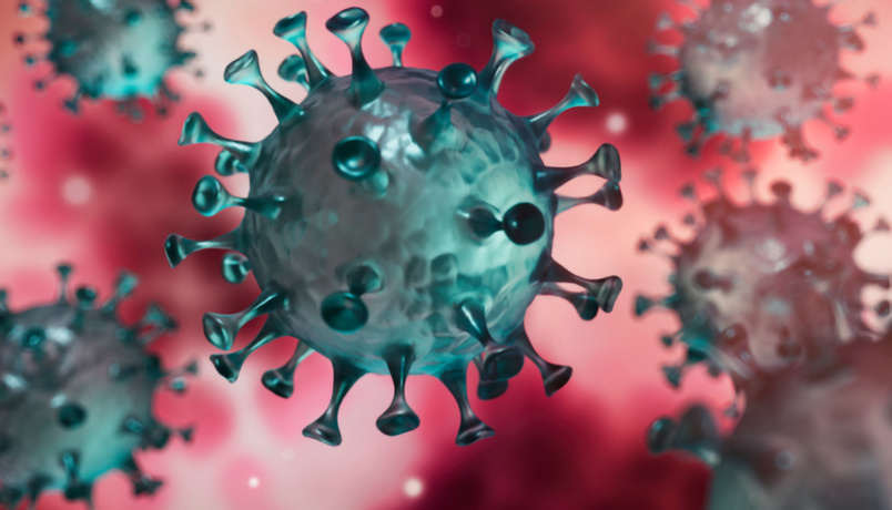 Le virus se propage rapidement dans notre île... Le virus se propage rapidement dans notre île...